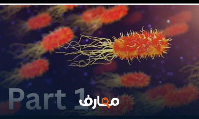 ميكروبيولوجي ثانية صيدلة