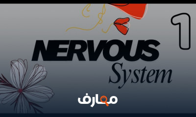 Nervous System تانية صيدلة