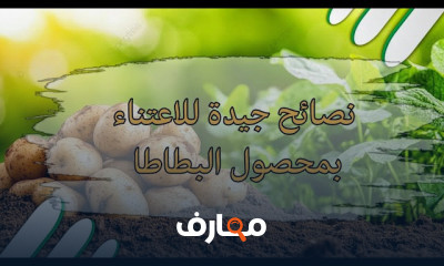 العناية بمحاصيل الخضروات