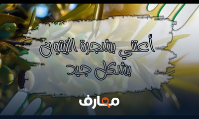 العناية بمحاصيل الفاكهة