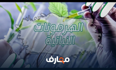 فيزيولوجيا النبات