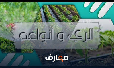 طرق حصاد ونشر المياه للأراضي