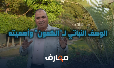 طريقة زراعة الكمون خطوة بخطوة