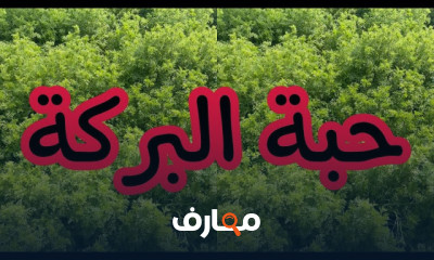 زراعة حبة البركة بالخطوات
