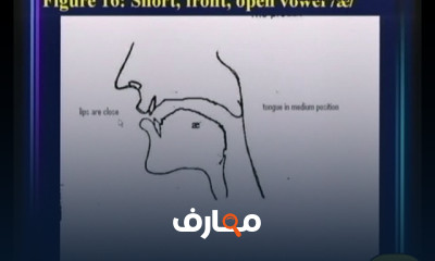 انجليزى علم الصوتيات كلية اداب