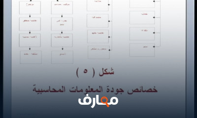 حوكمة الشركات ولجان المراجعة