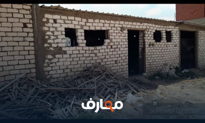 الإنتاج الداجني للمبتدئين