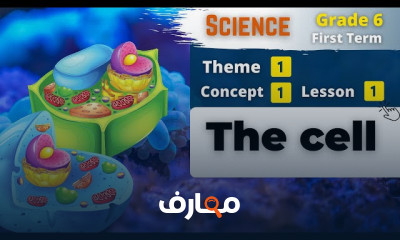 منهج Science للصف السادس ترم1 2026