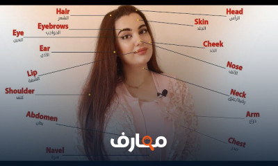 اجزاء جسم الانسان بالانجليزية