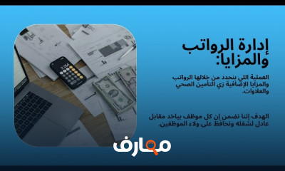الموارد البشرية للمبتدئين