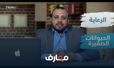 الطب البيطري ورعاية الحيوانات