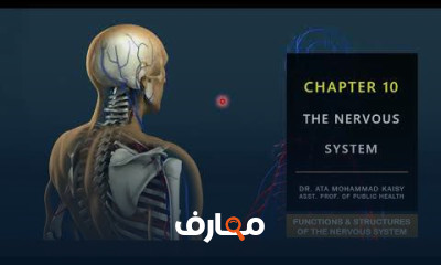 المصطلحات الطبية للأطباء