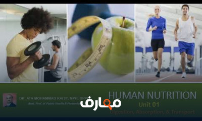 مبادئ التغذية الصحية للإنسان