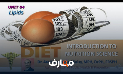 أساسيات علم التغذية