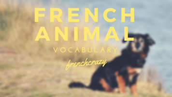 كورس لتعلم Animals French Vocab