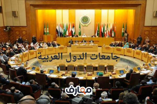 جامعات الدول العربية