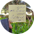 شاهنده عبدالنبي عبدالفتاح سيد