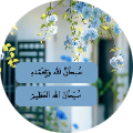 Mena Hesham