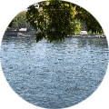 Malak Alwan