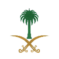 Emad Mohallawi