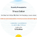 Shaza Gaber
